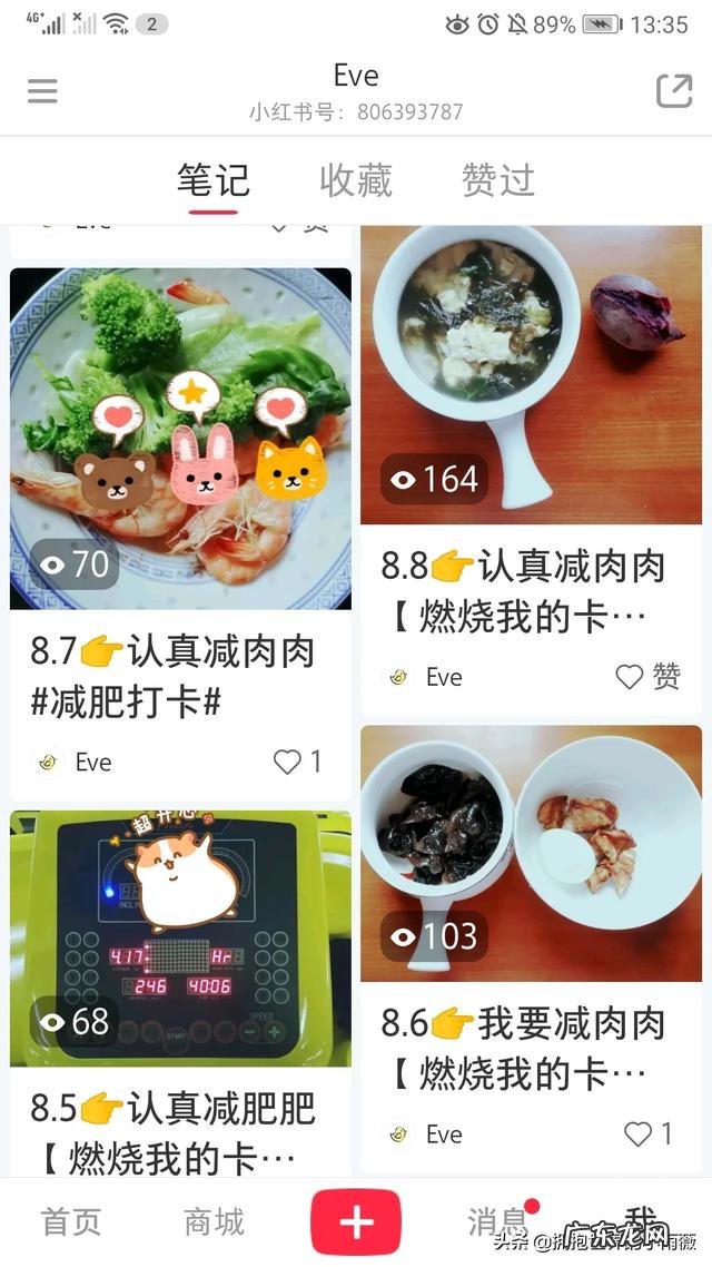 减肥过后吃点素菜可以吗? 减肥间能吃菜吗