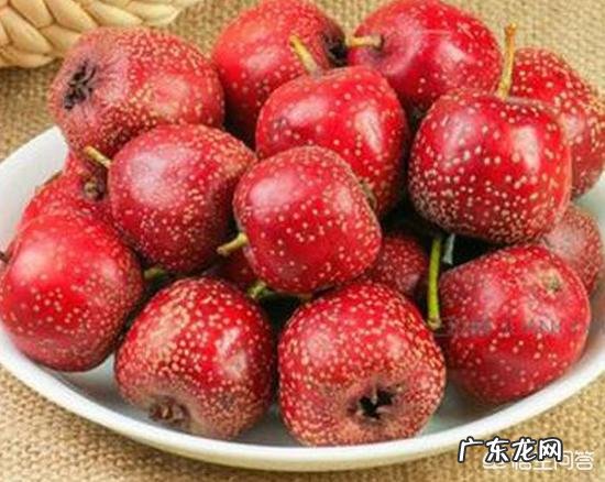 山楂，胶股蓝，黄芪可以一起泡水喝吗？