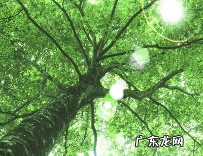 你想要的养老生活是什么样的35岁应该如何奋斗