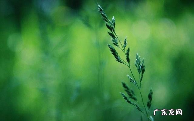 你想要的养老生活是什么样的35岁应该如何奋斗