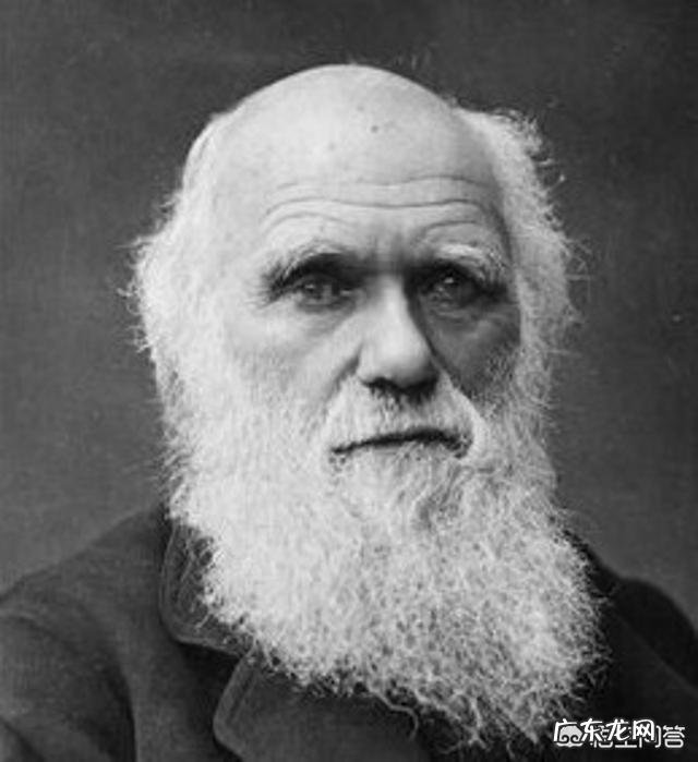 “儿随娘,必定强”,有道理吗