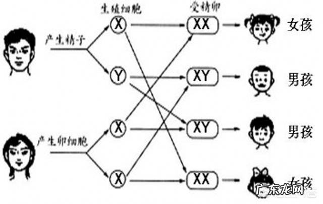 “儿随娘,必定强”,有道理吗