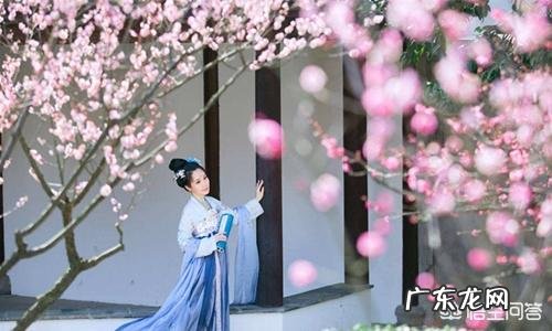 吃红枣、阿胶可以补血吗?