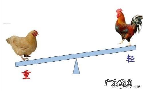 有哪些可以让自己健康变胖的食物?