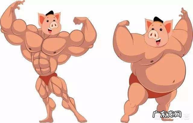 每天运动吃的也少为什么体重反而上涨了?