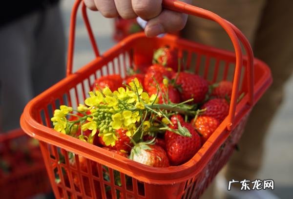 2017名人首富排行范冰冰居首位, 到底有多壕？