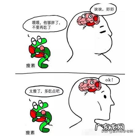 减肥，早起一杯黑咖啡代替早餐，有加速基础代谢加速燃脂作用吗？