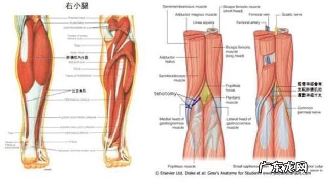 每天坚持跳绳对男性有哪些好处?