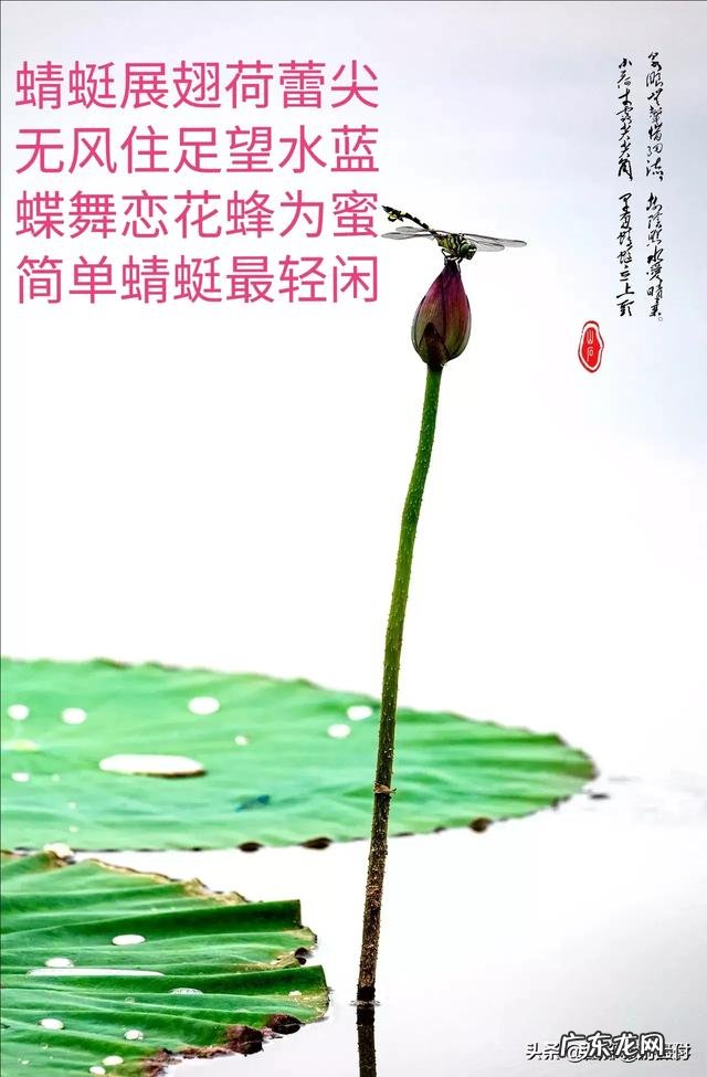 2020年3月有没有什么电视剧推荐?