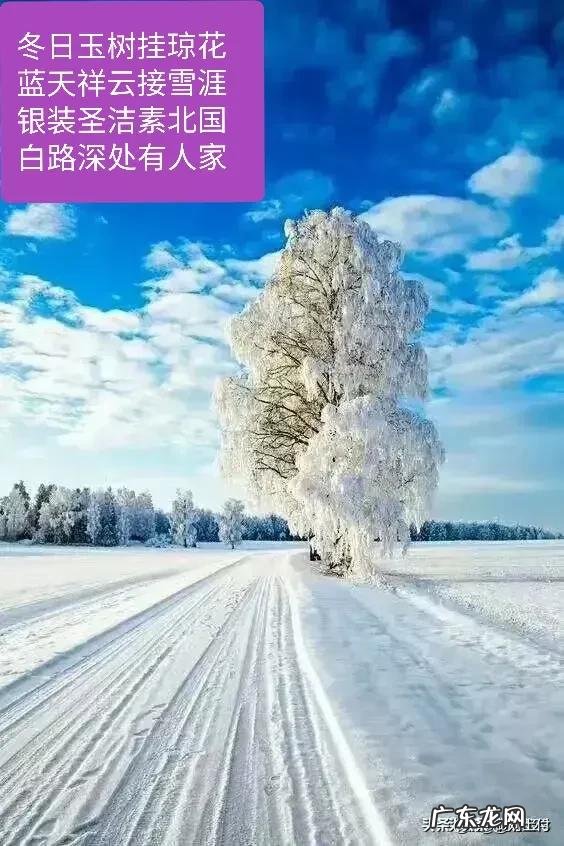 2020年3月有没有什么电视剧推荐?