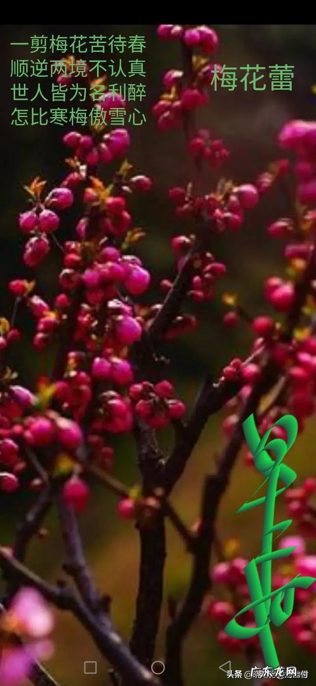 2020年3月有没有什么电视剧推荐?