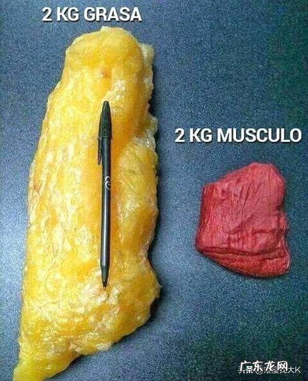 只跑步,不做力量训练有什么危害?