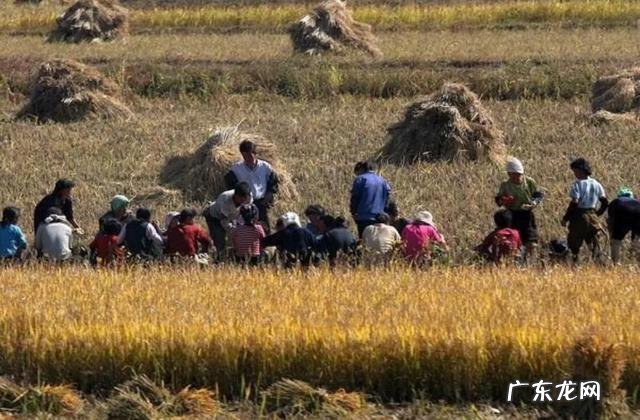 去朝鲜旅游是一种怎么样的体验?