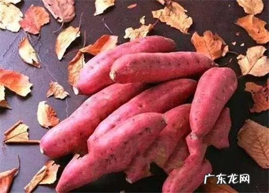 怀孕后能吃能喝能睡,体重直线飙升怎么办?