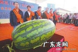 夏天为什么不能多吃西瓜?