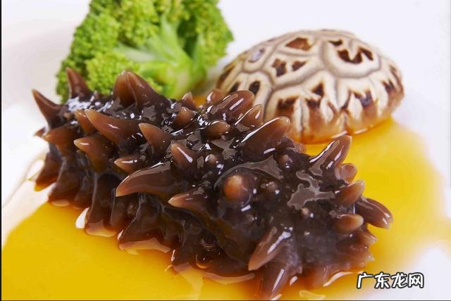 近些年很火的紫苏,你都是怎么吃的?