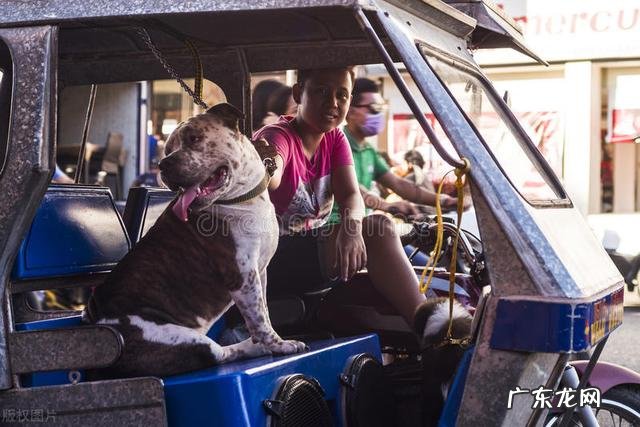 真实的菲律宾人民生活水平是什么样子