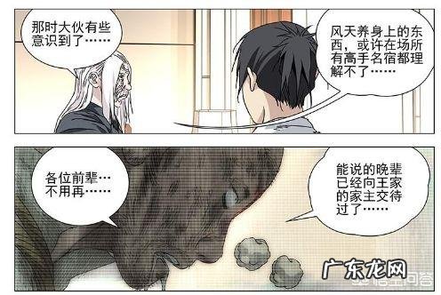 《一人之下》里面张楚岚继承的炁体源流具体排名八奇技第几