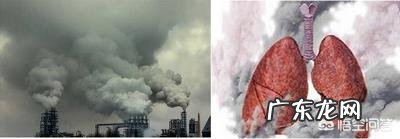 慢性阻塞性肺疾病真的有那么严重吗?应该如何正确预防?