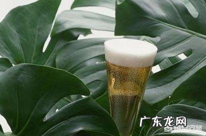 储藏时间超过三年的过期啤酒,能用来干什么呢?