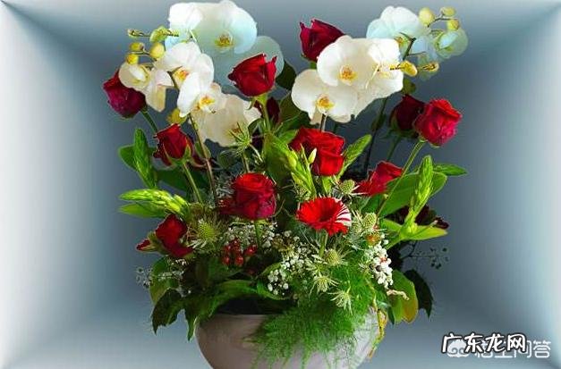 储藏时间超过三年的过期啤酒,能用来干什么呢?