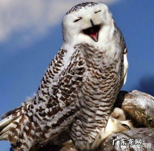 老一辈都说让孩子哭一哭是一种锻炼，这种说法有道理吗