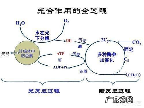 月球上的“陆地”和地球上的陆地又有什么不同呢