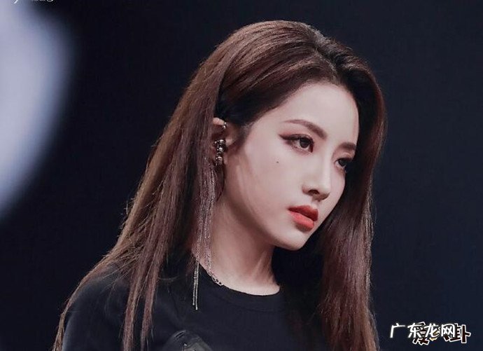 歌手vocal是什么意思 偶像女团中的vocal相当于主唱吗