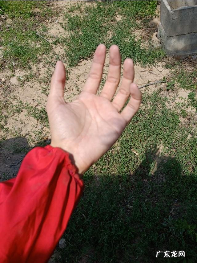 在做微商买面膜,面膜行业大家知道有什么办法可以引流吗?