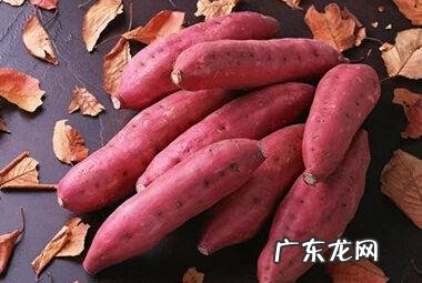 可以用地瓜做什么好吃的?