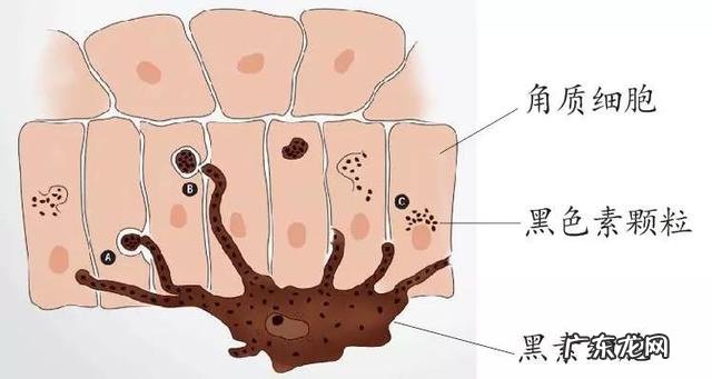 三天快速美白脸部方法 五个美白技巧让你轻松变白