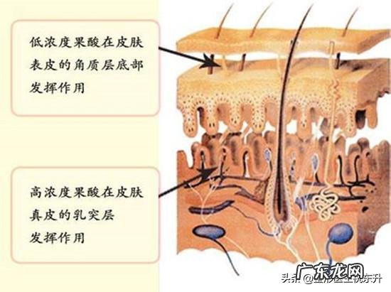 美白产品烟酰胺好，还是果酸好呢？