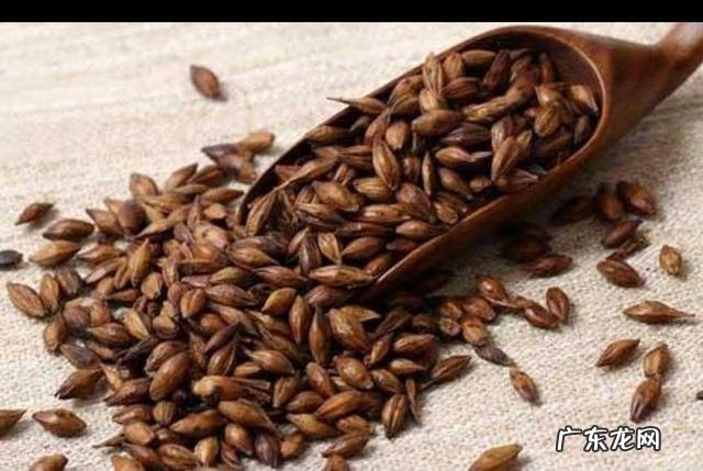 产后回奶是用生麦芽还是熟麦芽? 喝了麦芽水回奶了还能追奶吗