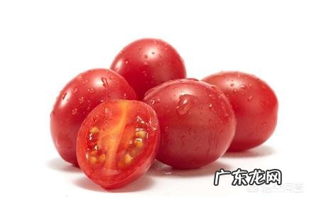 1个月坚持每天跑10公里能减肥吗?食物怎么吃?