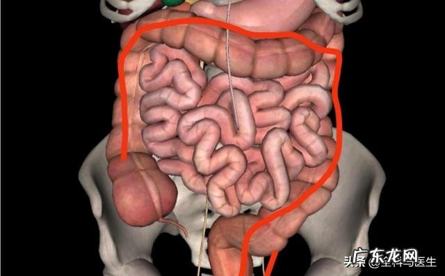 长途运输活羊时,为什么会掉秤有哪些预防措施