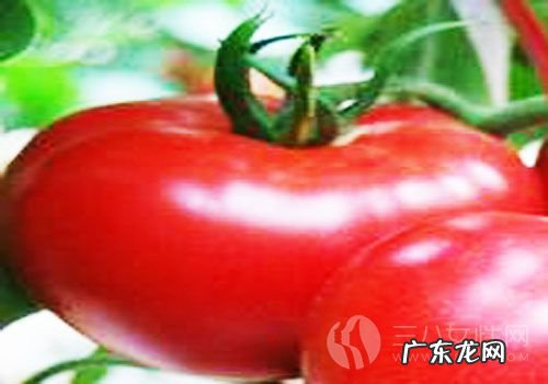 小苏打洗脸有什么作用 生活中如何使用小苏打