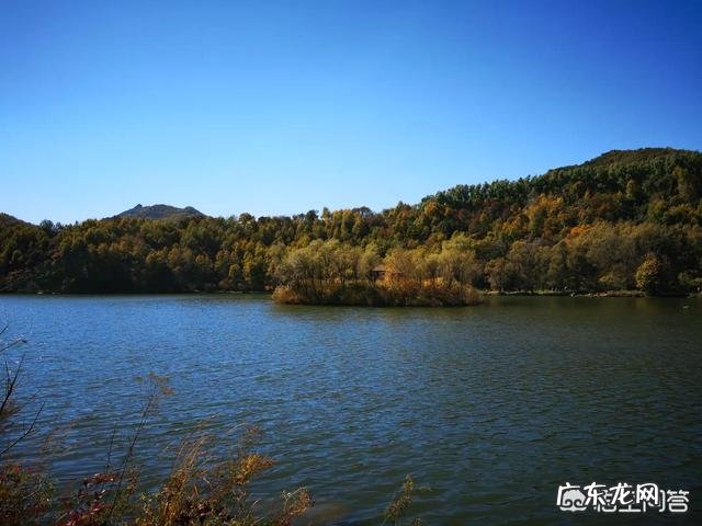 为什么自己一到晚上就精神?