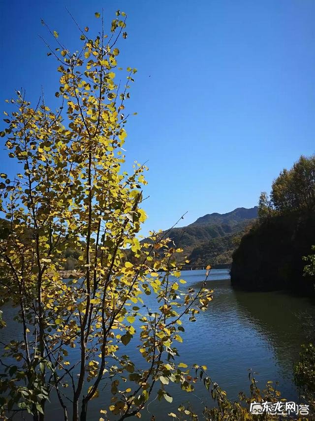 为什么自己一到晚上就精神?