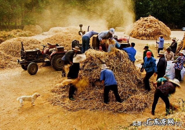 你身边的河南人都是是什么样的?