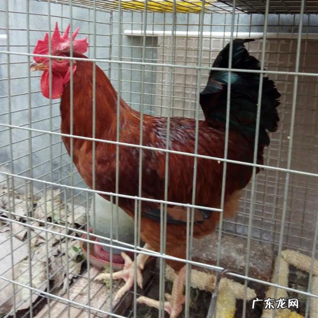 你见过最恶心的亲戚有多恶心?