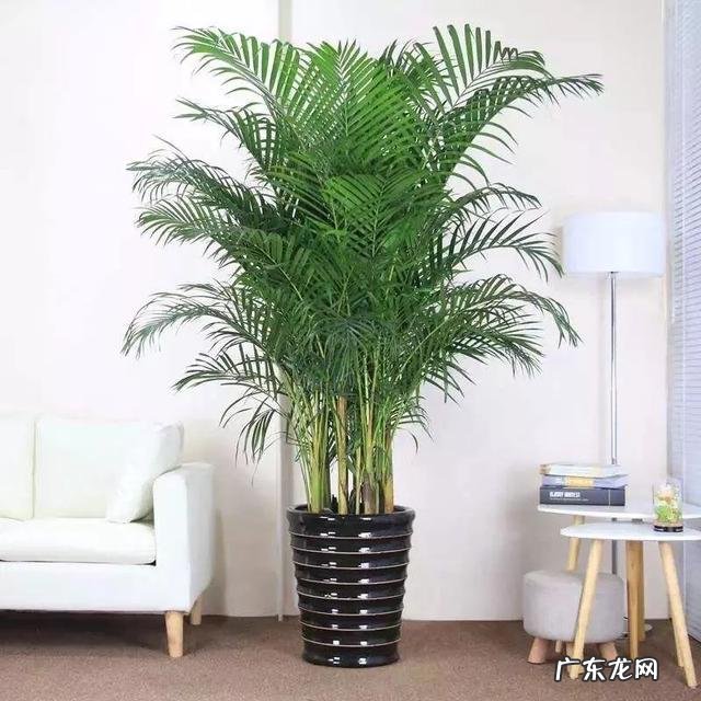 为什么夏天,女孩子们都非常喜欢穿连衣裙?