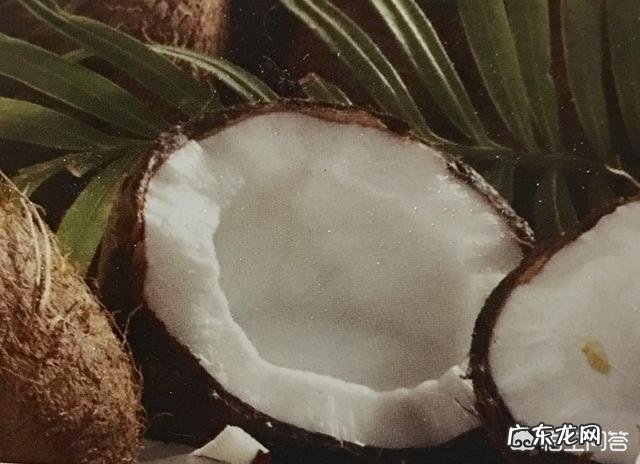 为什么椰子油能减肥，油脂不是增肥的吗？