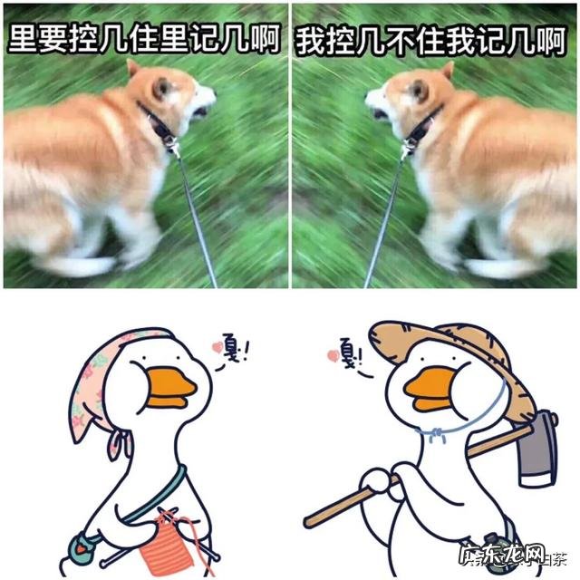 男朋友希望女朋友减肥,女朋友该怎么做?