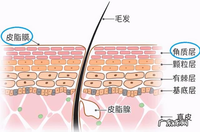 皮肤科医生推荐美白秘方 皮肤科医生推荐的美白皮肤药物