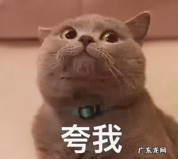 皮肤科医生推荐美白秘方 皮肤科医生推荐的美白皮肤药物