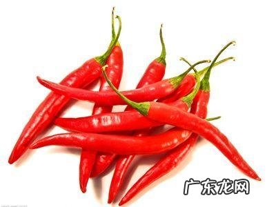 体内湿气重,该如何靠食物调理?