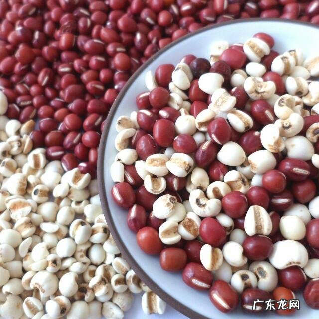 体内湿气重,该如何靠食物调理?