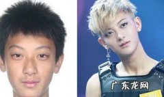 黄子韬个人资料家庭背景 整容前后照片遭扒为什么被黑