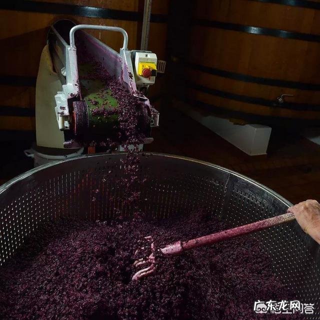 有什么饮品喝了对皮肤好吗?