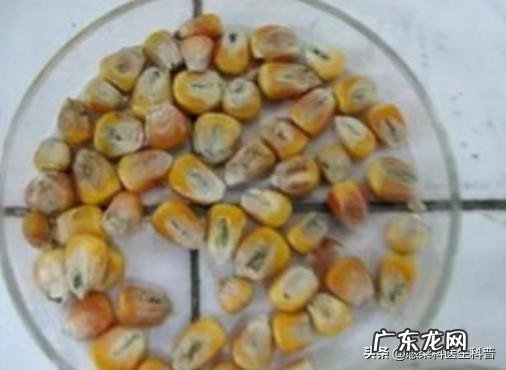 有乙肝炎除了喝酒抽烟,还有什么东西不能吃